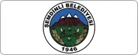 semdinli